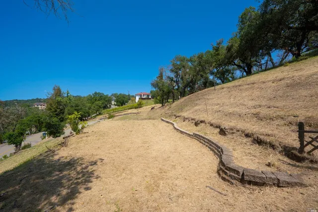a view of a dry yard with trees