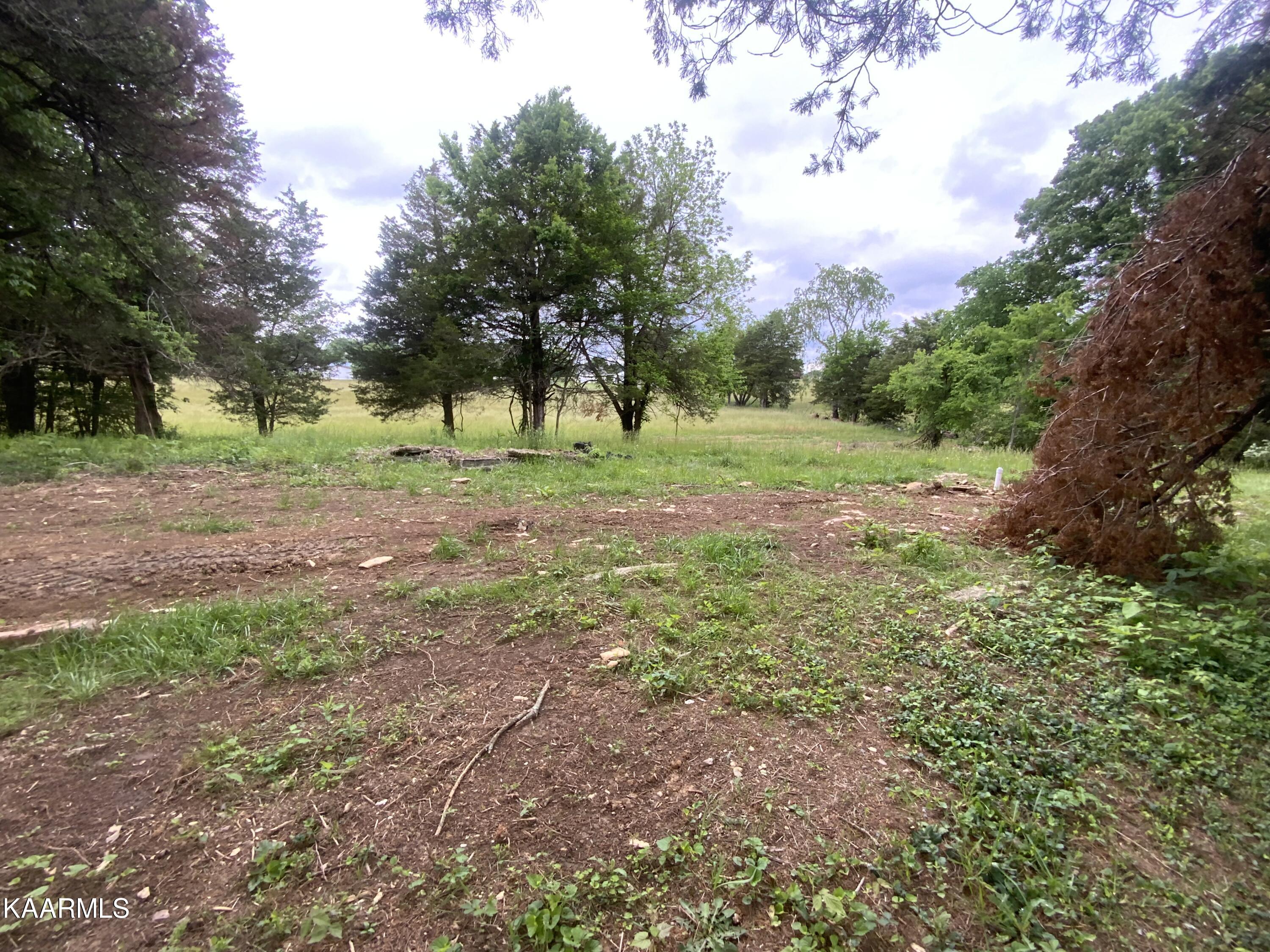 9321 East Emory Road Corryton, TN 37721 - Photo 6 of 27 46A22000-2864-4852-A7BD-F12A1CA3772E