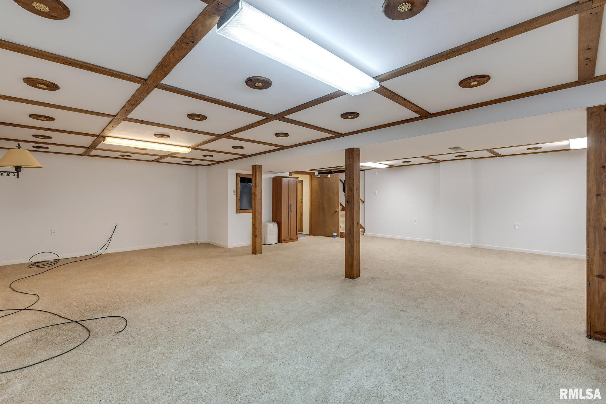 109 North 3rd Street Colona, IL 61241 - Photo 20 of 32