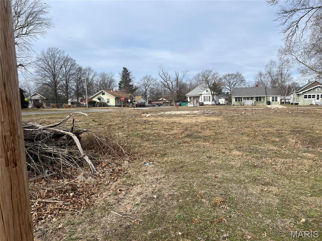 302 East Elm Street Gillespie, IL 62033 - Photo 4 of 4