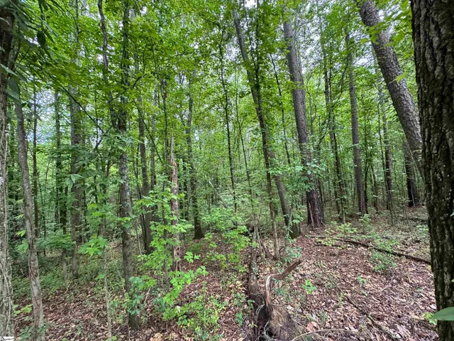 $100,000 | 898 Church Street, Central, SC 29630