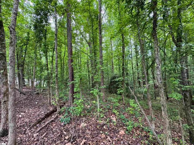 $100,000 | 898 Church Street, Central, SC 29630