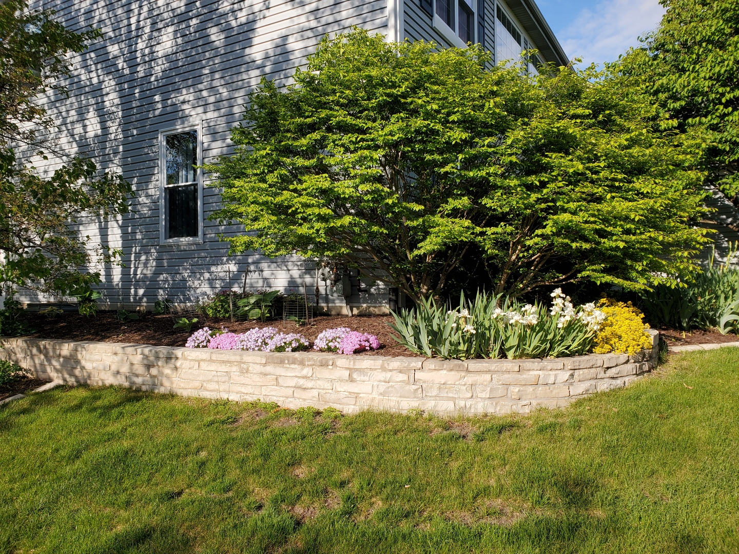 1772 Pinnacle Drive Aurora, IL 60502 - Photo 46 of 48 a view of outdoor space yard and tree