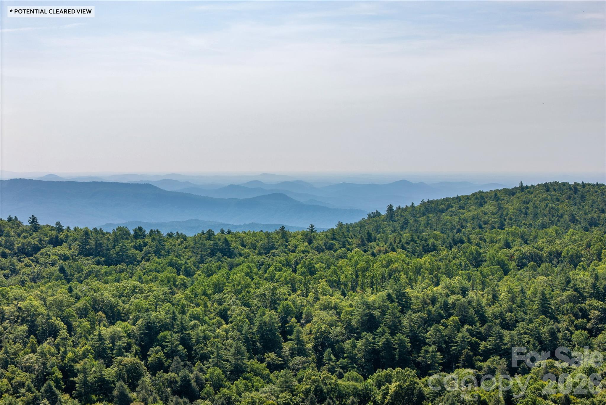 Tbd Whitewater Road Sapphire, NC 28774 - Photo 8 of 12 Gallery Image 8