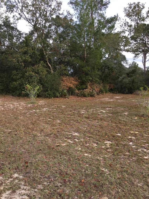 0 Southwest 32nd Terrace Road Ocala, FL 34473 - Photo 1 of 1 Sue 2