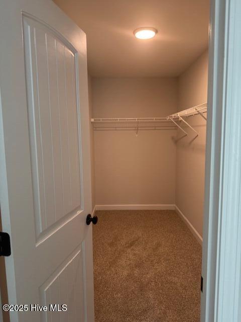 412 Reno Place Jacksonville, NC 28540 - Photo 19 of 70 IMG_4697