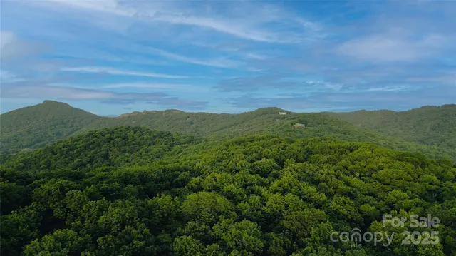 a view of a lush green space with sea