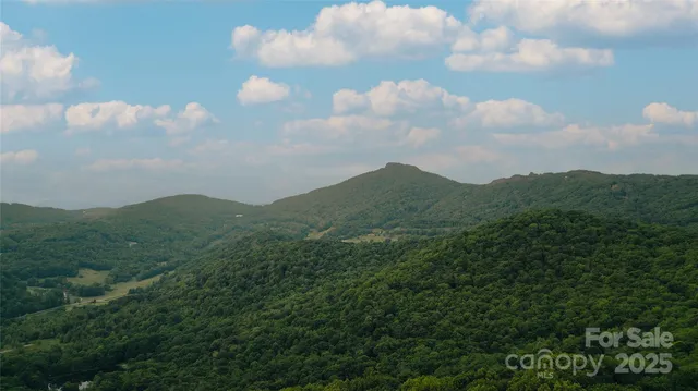 a view of a city and a lot of trees