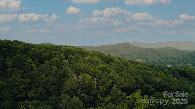 an aerial view of houses covered in trees