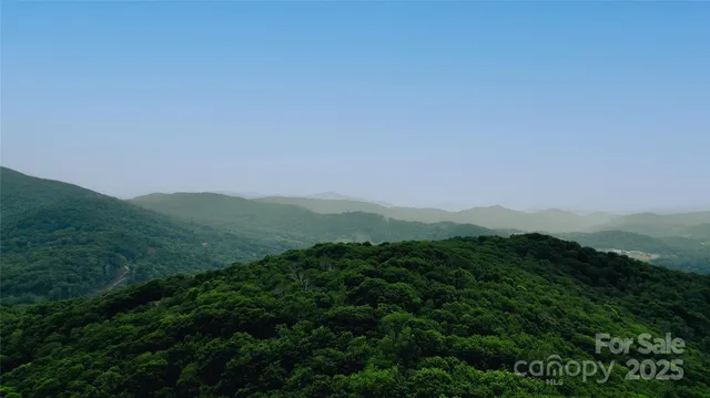 a view of a lush green forest with lots of trees