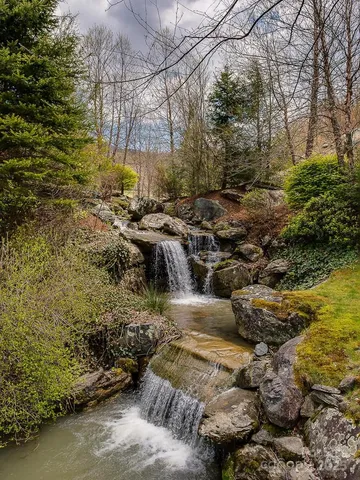 a view of a yard with plants and trees