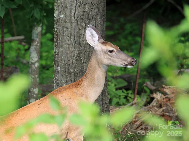 a view of a lake view