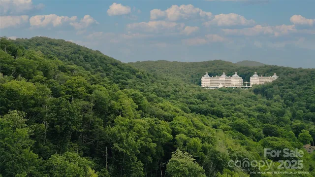 a view of a bunch of trees
