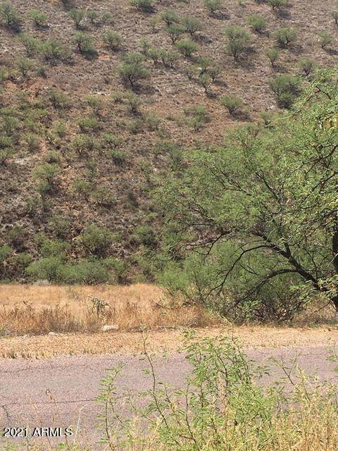 419 Rio Rico Drive, Unit 50 Rio Rico, AZ 85648 - Photo 3 of 3 20200203170303126940000000-o