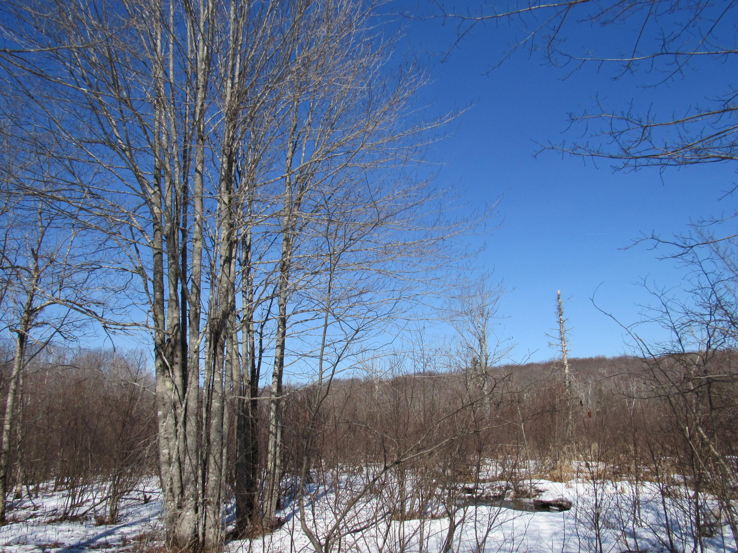 Lot 5 Kennebec Road Dixmont, ME 04932 - Photo 12 of 13 IMG_5272