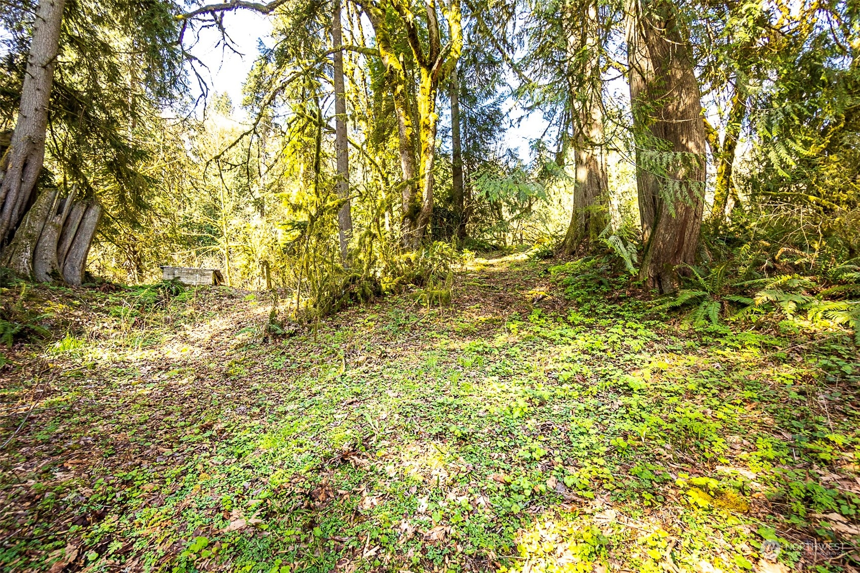 8801 West Snoqualmie Valley Road Northeast Carnation, WA 98014 - Photo 1 of 20