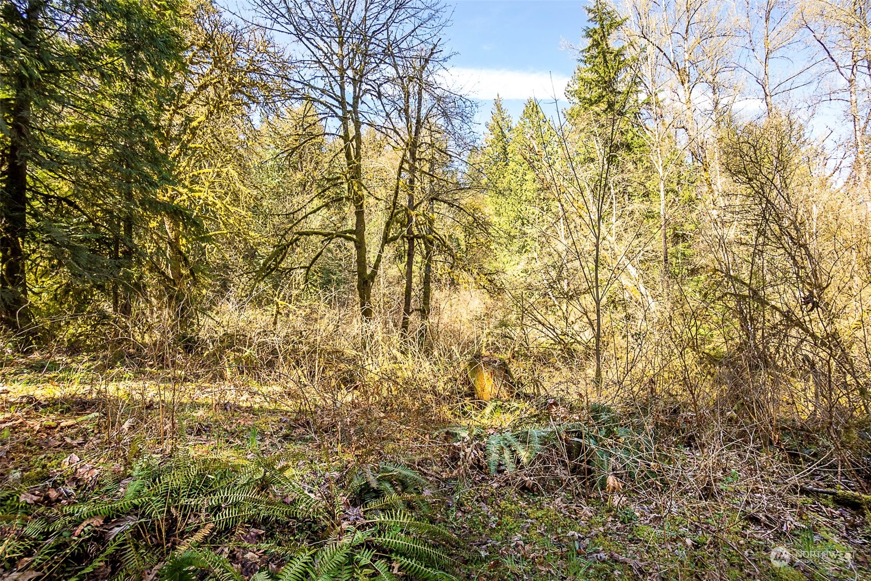 8801 West Snoqualmie Valley Road Northeast Carnation, WA 98014 - Photo 11 of 20