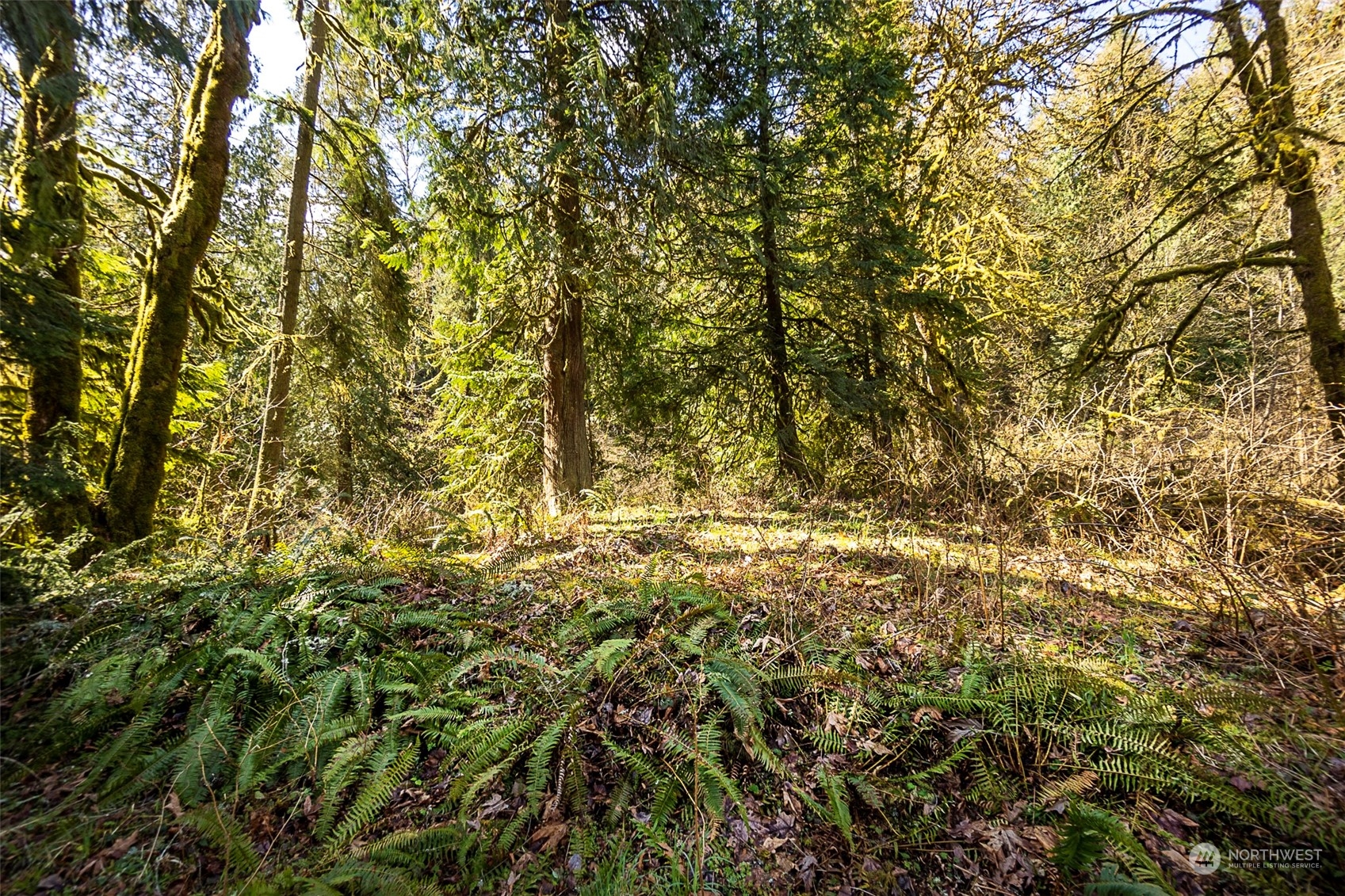 8801 West Snoqualmie Valley Road Northeast Carnation, WA 98014 - Photo 12 of 20