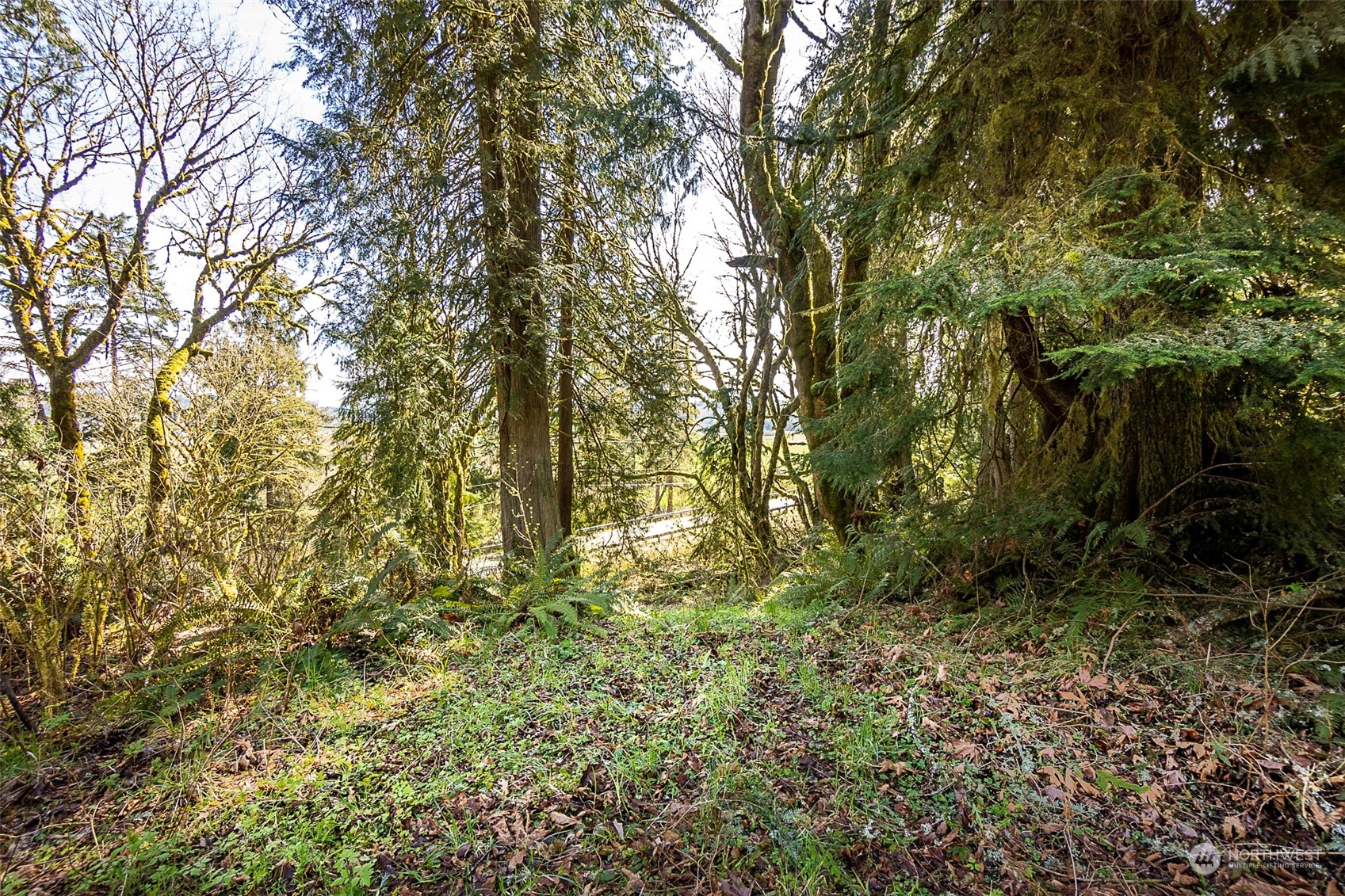 8801 West Snoqualmie Valley Road Northeast Carnation, WA 98014 - Photo 13 of 20