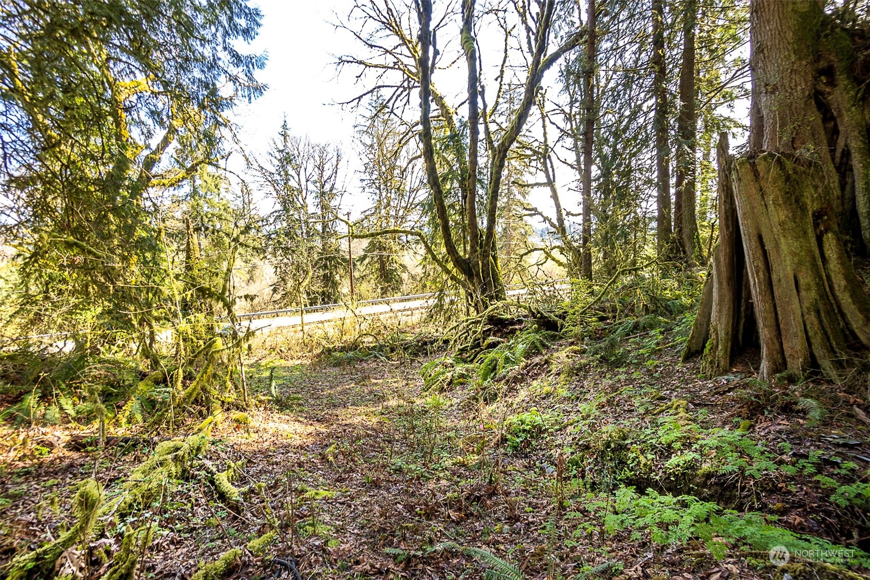 8801 West Snoqualmie Valley Road Northeast Carnation, WA 98014 - Photo 14 of 20