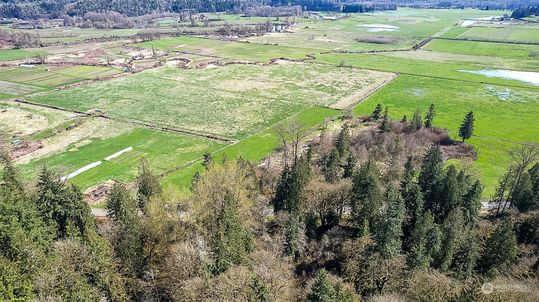 8801 West Snoqualmie Valley Road Northeast Carnation, WA 98014 - Photo 15 of 20