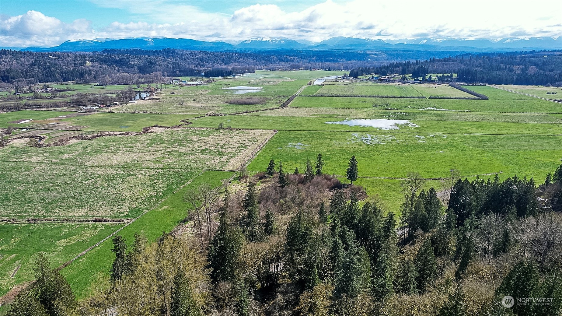 8801 West Snoqualmie Valley Road Northeast Carnation, WA 98014 - Photo 17 of 20