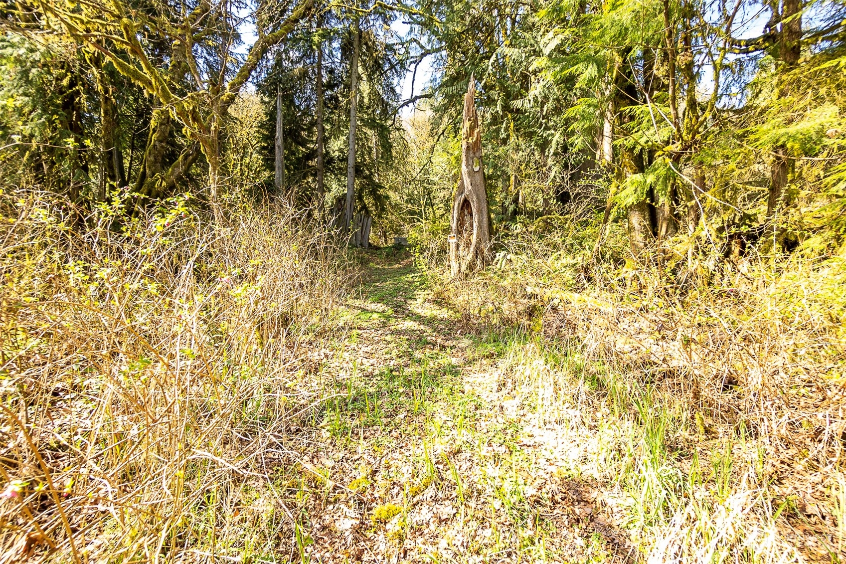 8801 West Snoqualmie Valley Road Northeast Carnation, WA 98014 - Photo 3 of 20