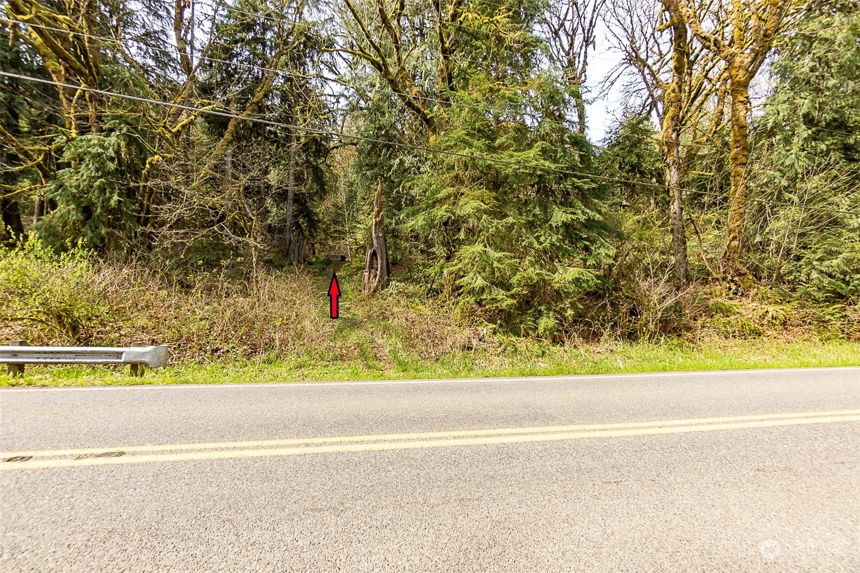 8801 West Snoqualmie Valley Road Northeast Carnation, WA 98014 - Photo 4 of 20