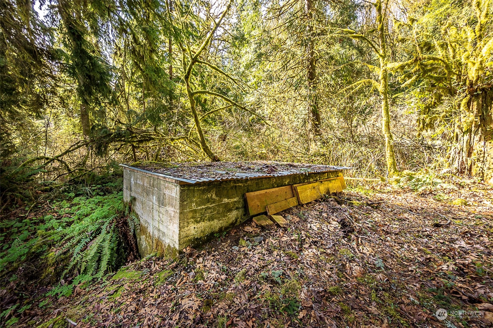 8801 West Snoqualmie Valley Road Northeast Carnation, WA 98014 - Photo 5 of 20