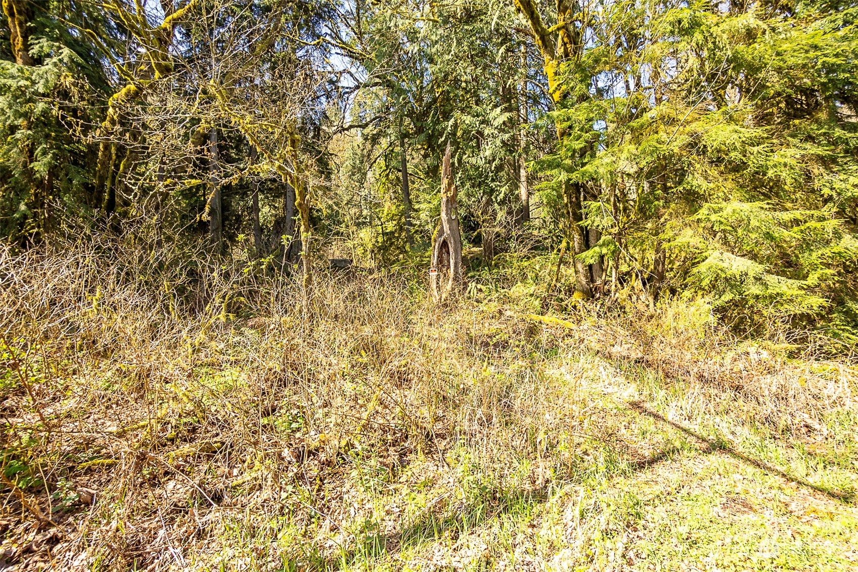 8801 West Snoqualmie Valley Road Northeast Carnation, WA 98014 - Photo 6 of 20