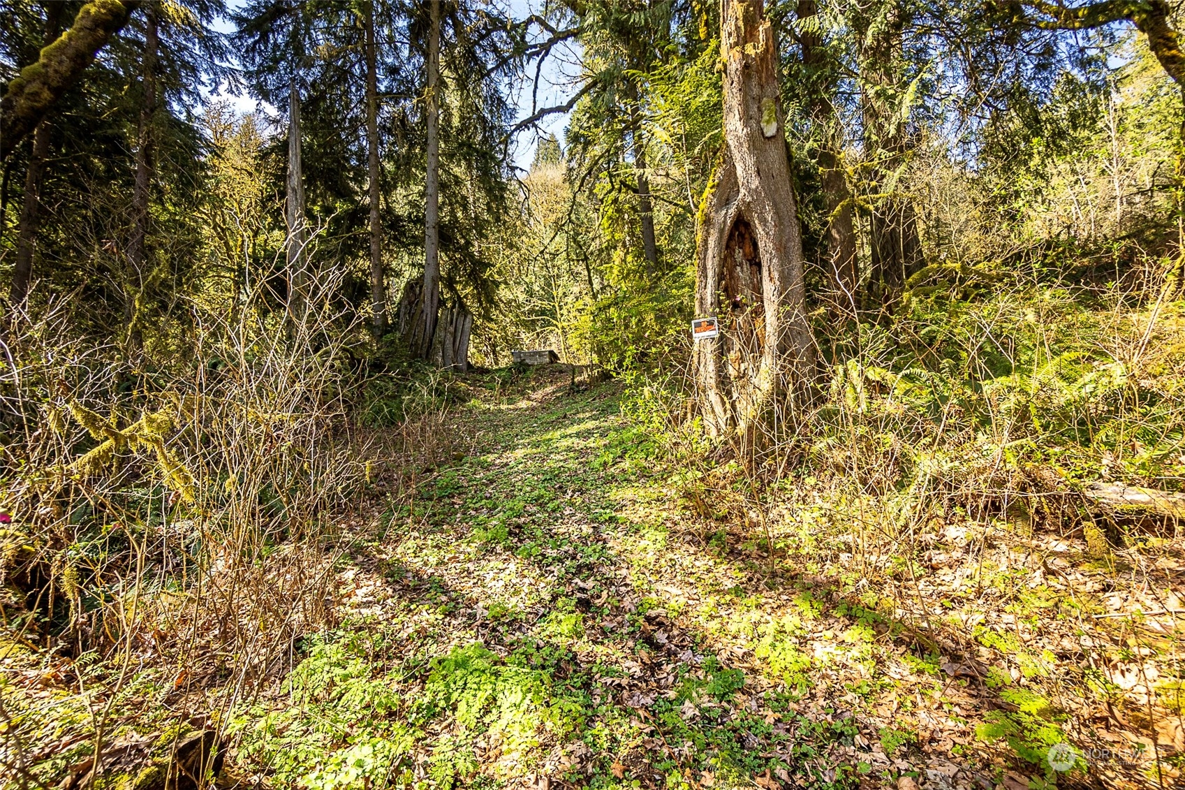 8801 West Snoqualmie Valley Road Northeast Carnation, WA 98014 - Photo 7 of 20