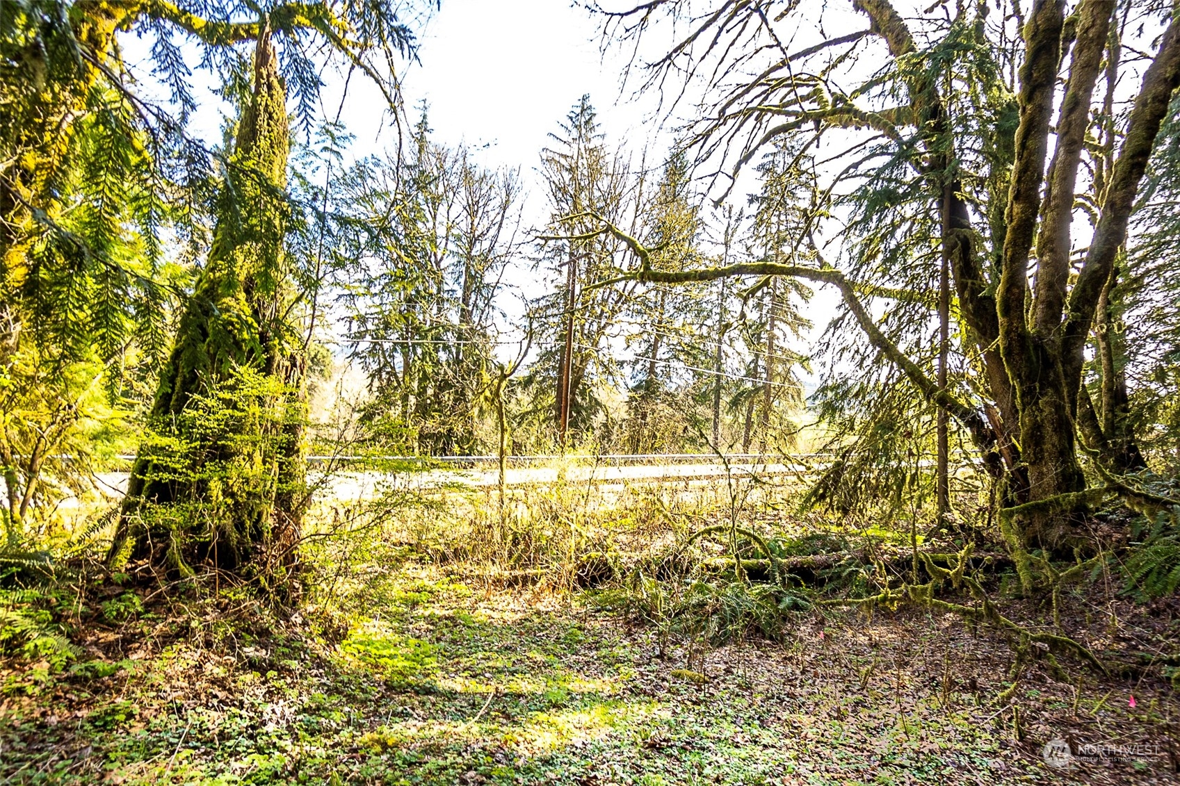 8801 West Snoqualmie Valley Road Northeast Carnation, WA 98014 - Photo 8 of 20