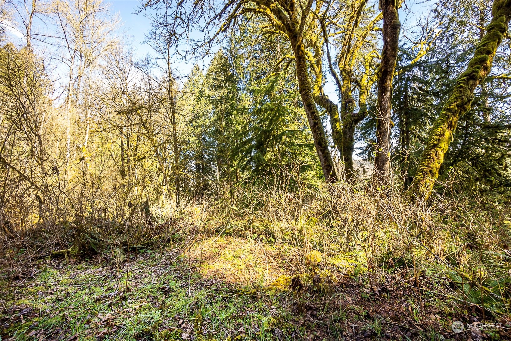 8801 West Snoqualmie Valley Road Northeast Carnation, WA 98014 - Photo 9 of 20