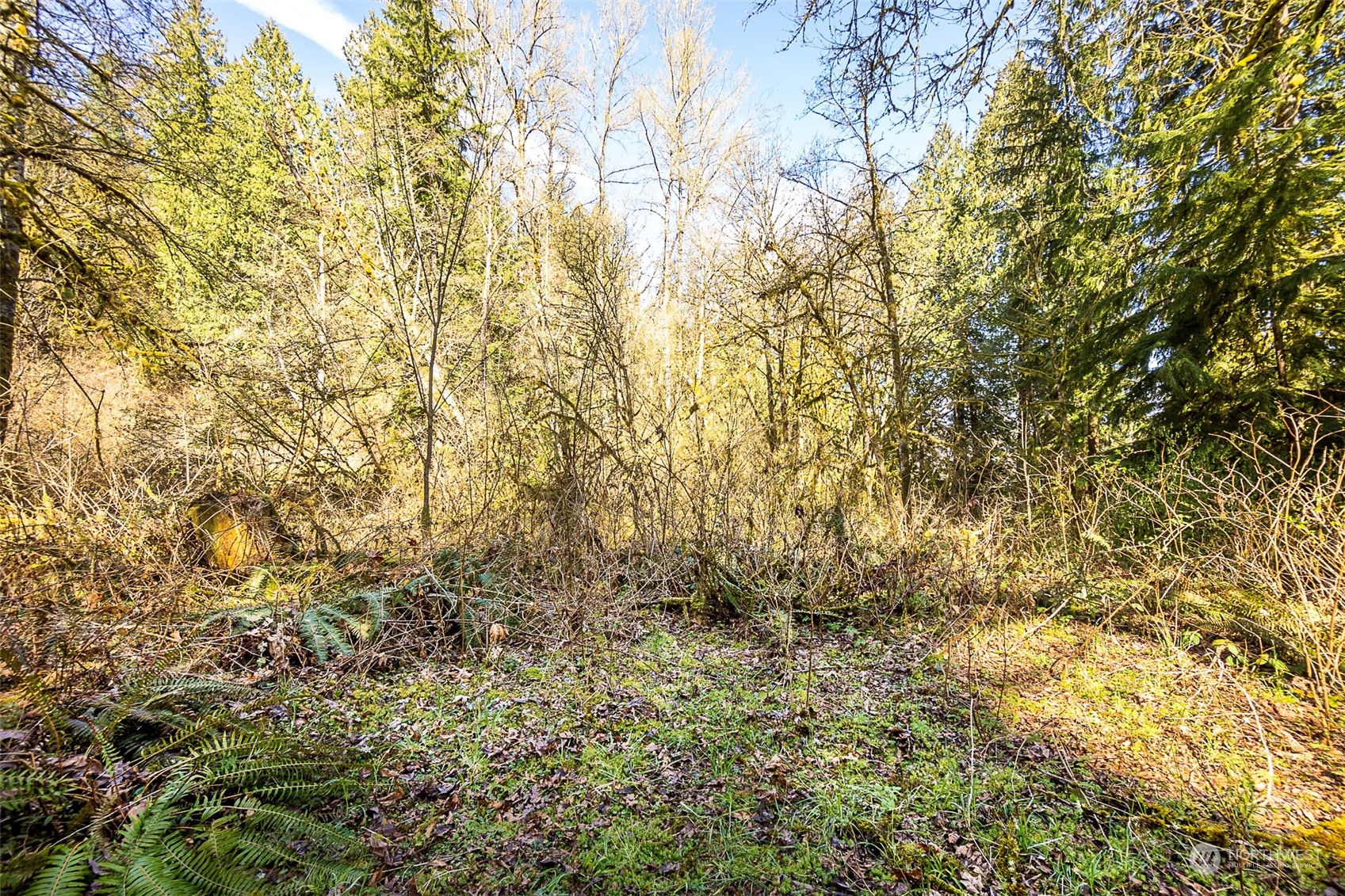 8801 West Snoqualmie Valley Road Northeast Carnation, WA 98014 - Photo 10 of 20