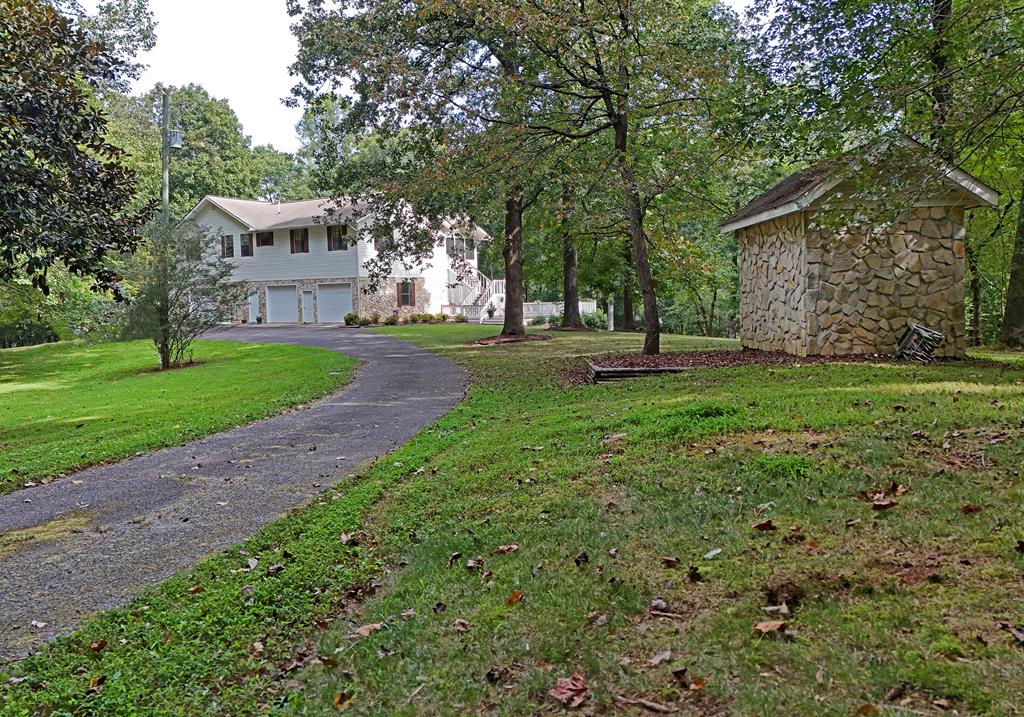 Main View
