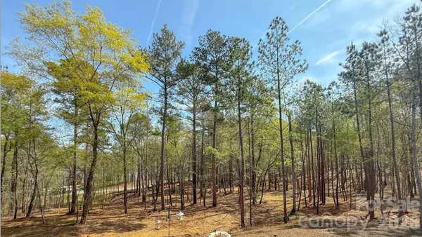 $650,000 | 8333 Catawba Cove Drive, Belmont, NC 28012
