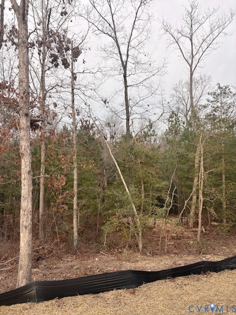 2219 Silver Street Aylett, VA 23009 - Photo 16 of 16 View of woods