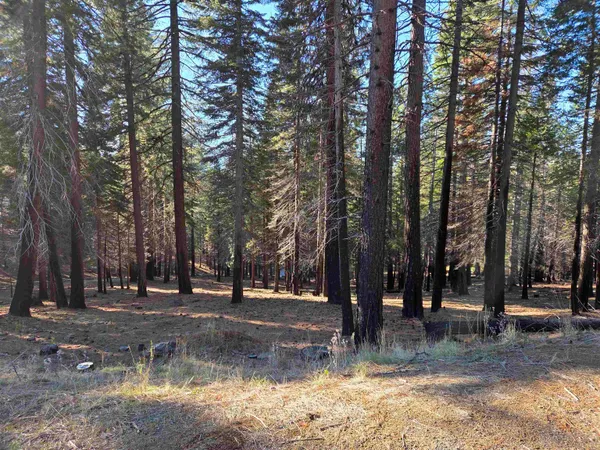 $49,500 | 118 Goose Bay Vw Trail, Lake Almanor West, CA 96020