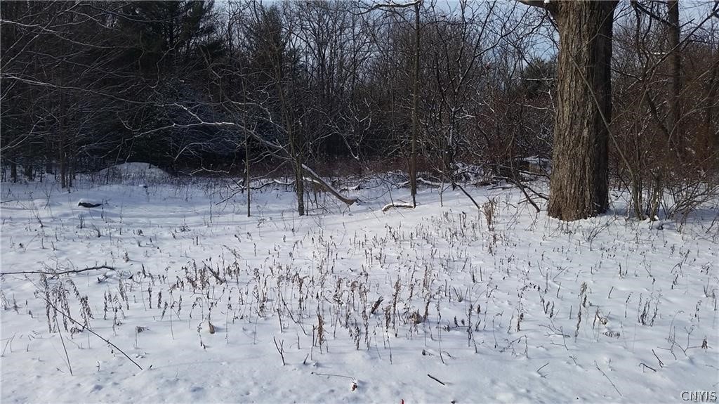 Lot 2 Pangborn Road Hastings, NY 13036 - Photo 1 of 1 Gallery Image 1
