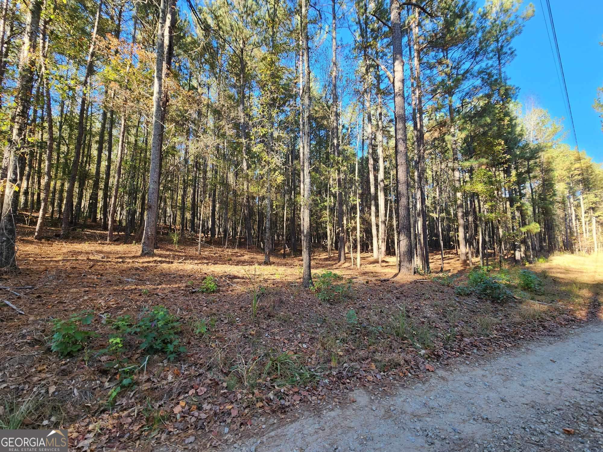 0 Allgood Road Newnan, GA 30263 - Photo 1 of 1 a view of outdoor space with green space