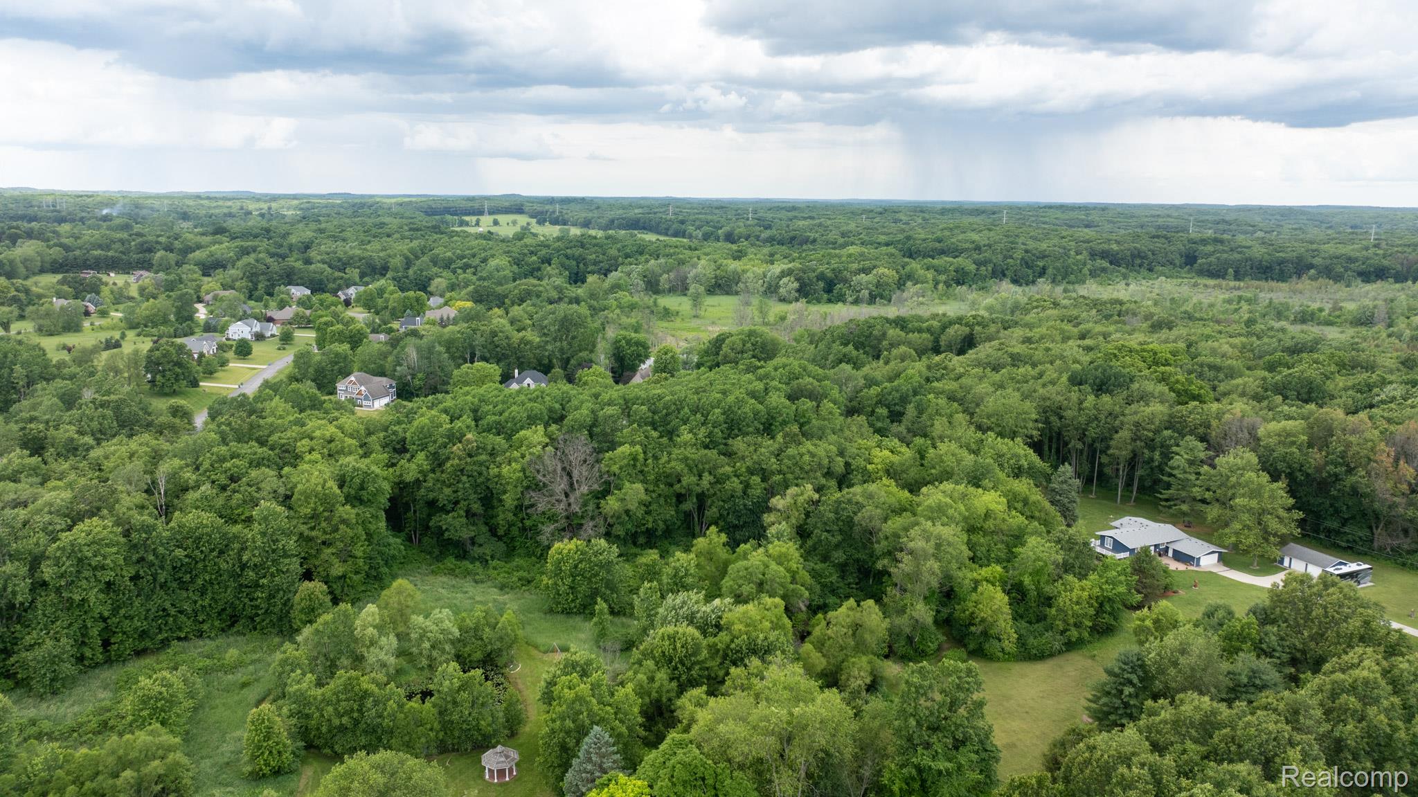 7333 Toma Road Dexter, MI 48130 - Photo 11 of 45 Expansive tree canopy surrounding a residential area, featuring scattered homes and a distant cluster of properties