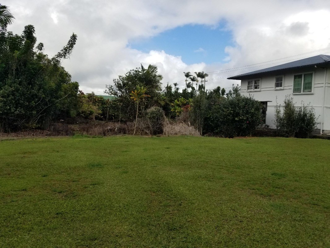 18-1252 Volcano Road Mountain View, HI 96771 - Photo 5 of 25