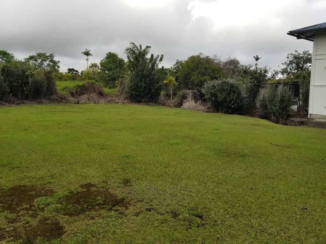 18-1252 Volcano Road Mountain View, HI 96771 - Photo 6 of 25