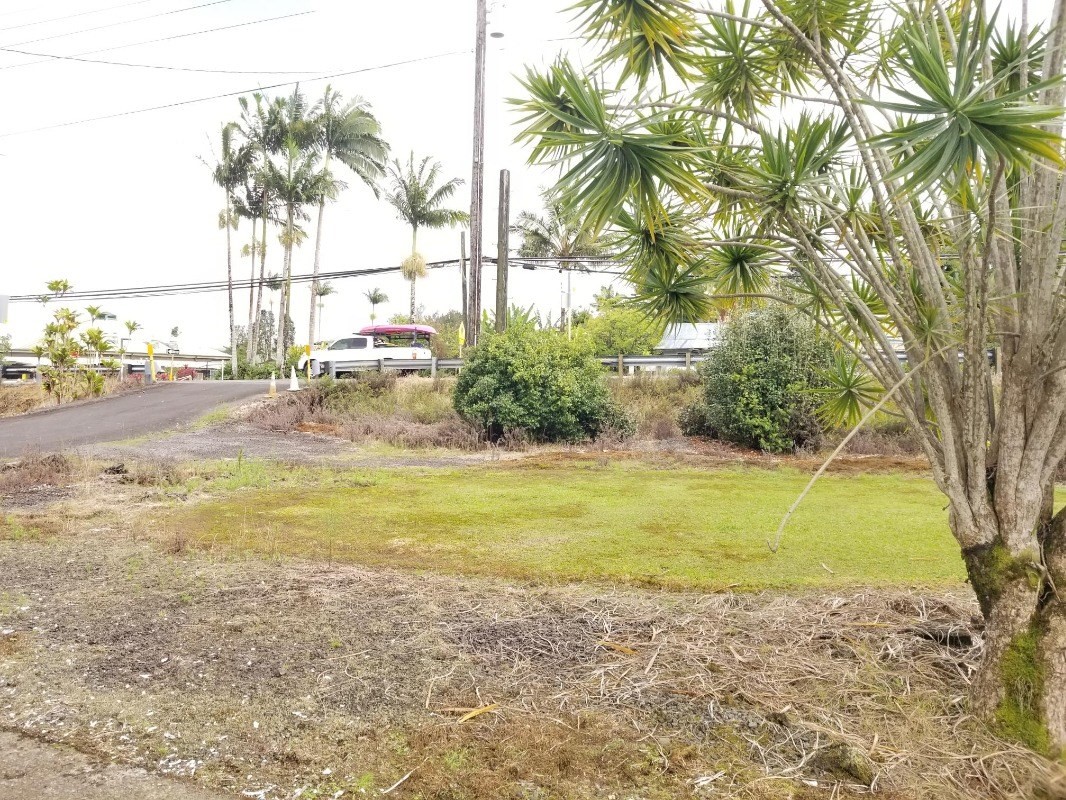 18-1252 Volcano Road Mountain View, HI 96771 - Photo 8 of 25