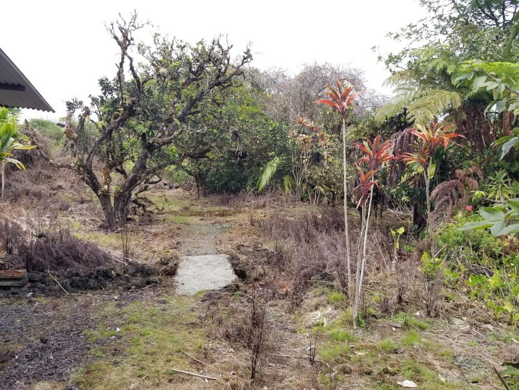 18-1252 Volcano Road Mountain View, HI 96771 - Photo 10 of 25