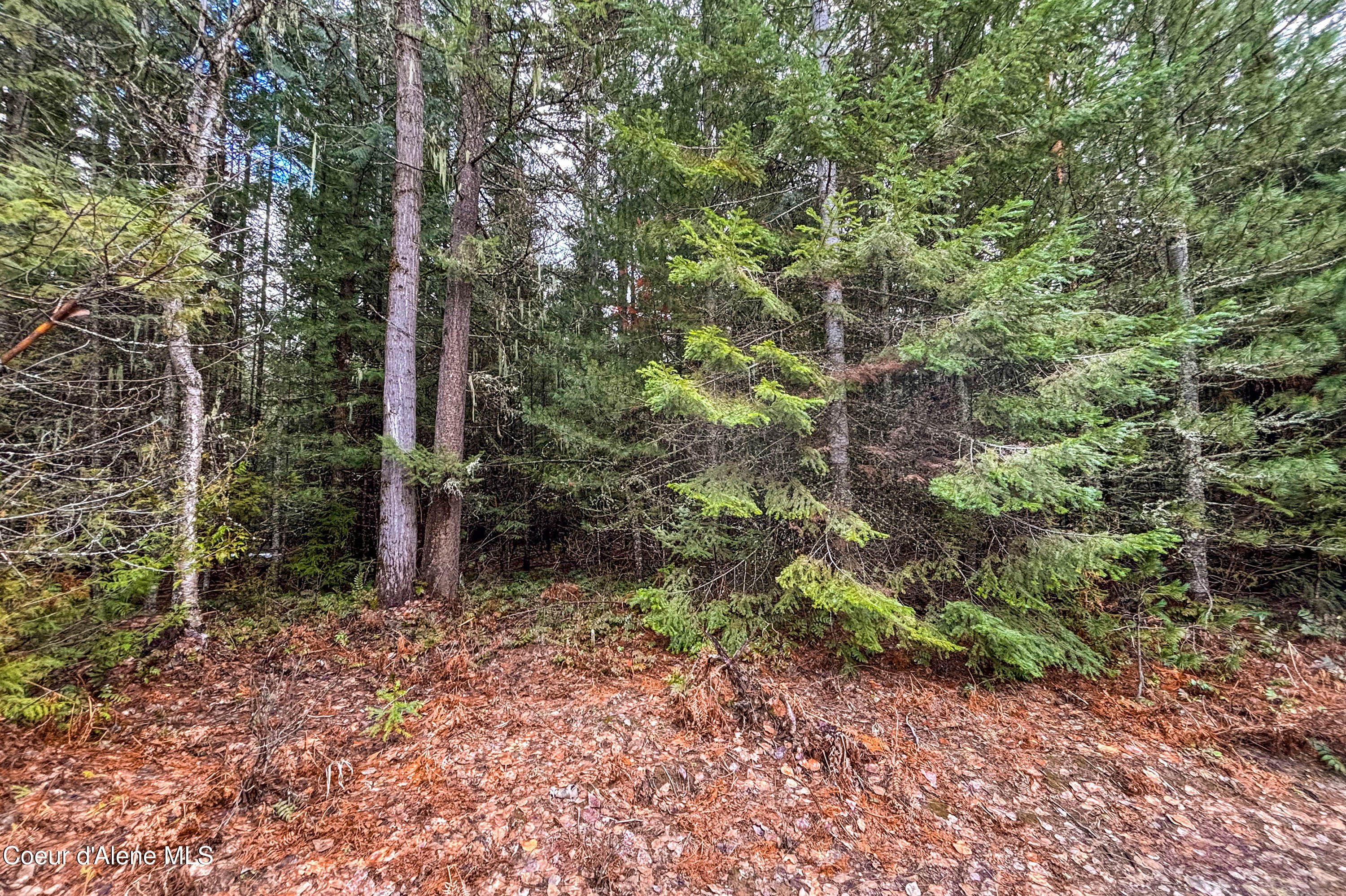 Nna Elk Street Sandpoint, ID 83864 - Photo 14 of 15 .
