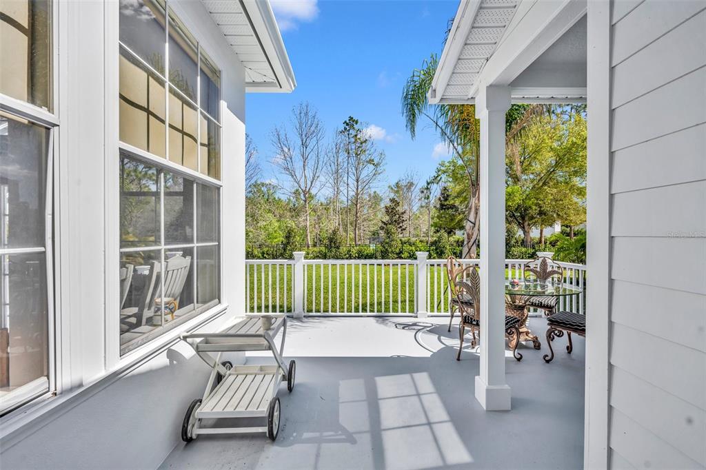 807 Oak Shadows Road Celebration, FL 34747 - Photo 36 of 95