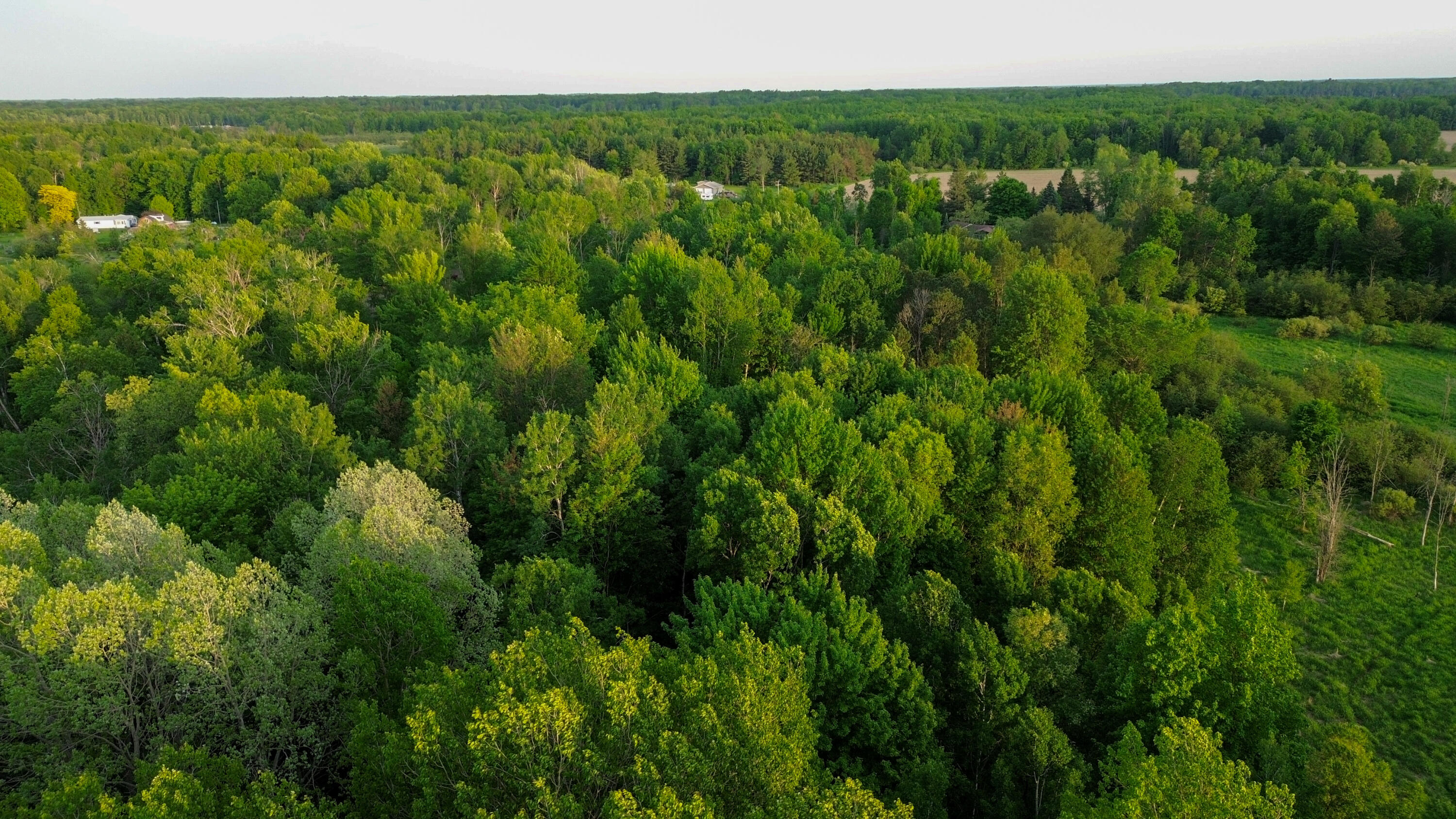 3091 East Sage Lake Road Lupton, MI 48635 - Photo 48 of 49 DJI_0215
