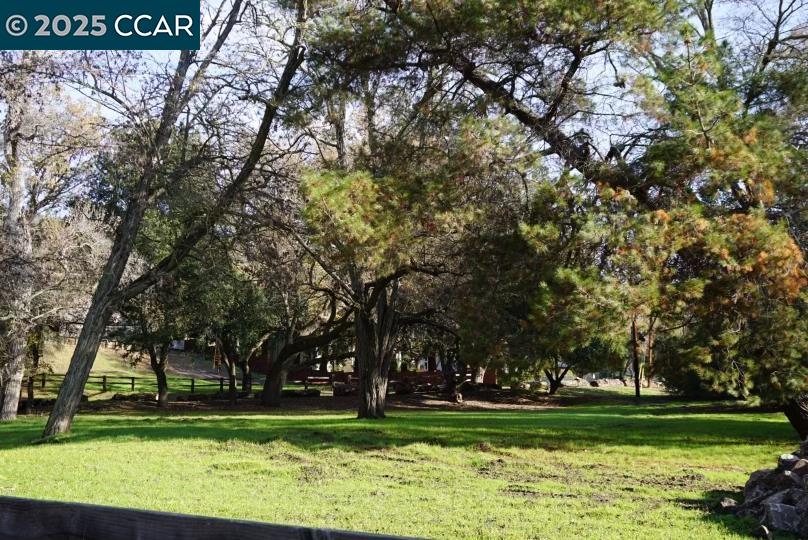 2328 Alameda Diablo Diablo, CA 94528 - Photo 2 of 8 a garden view with a space