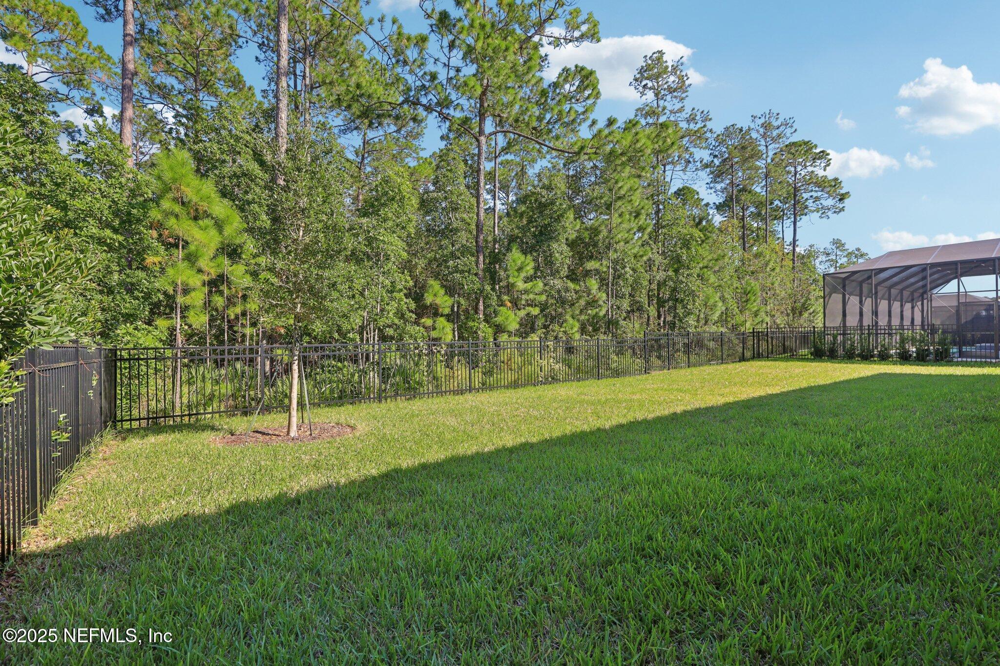 3089 Spiro Circle Jacksonville, FL 32246 - Photo 64 of 83 a view of a backyard with a garden